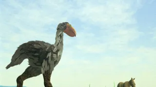 Ohrožená biodiverzita - fakta o vymírání druhů