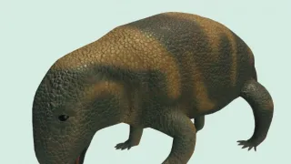 Ohrožená biodiverzita - fakta o vymírání druhů