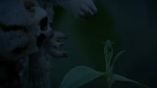 Divoká říše (3/3)