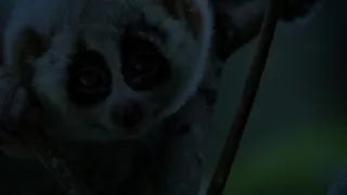 Divoká říše (3/3)