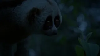 Divoká říše (3/3)