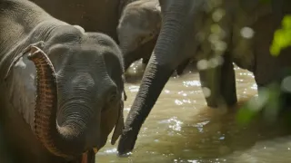 Divoká říše (3/3)