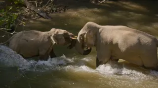 Divoká říše (3/3)