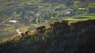 Divoká říše (3/3)