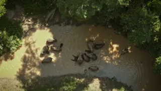 Divoká říše (3/3)