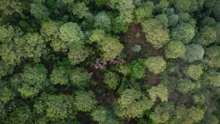 Divoká říše (3/3)