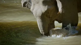 Divoká říše (3/3)