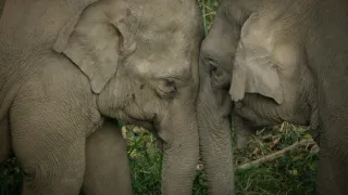 Divoká říše (3/3)