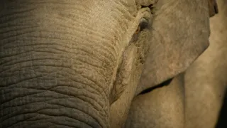 Divoká říše (3/3)