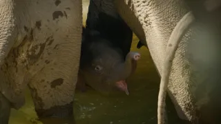 Divoká říše (3/3)