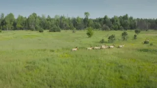 Černobyl: Nová svědectví (2/2)