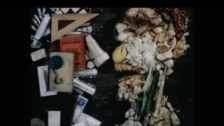 Arcimboldo: Portrét odvážlivce