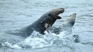 Wales - země se znamením draka