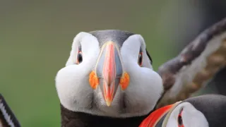 Wales - země se znamením draka