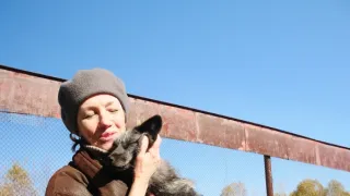 Psie príbehy