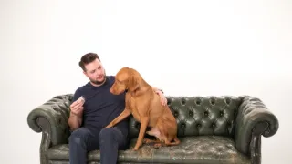 Psie príbehy