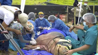 Zátah na Escobarovy hrochy