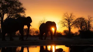 Napájadlo - africká zvieracia oáza (2/3)