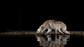 Napájadlo - africká zvieracia oáza (2/3)