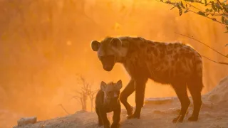 Napájadlo - africká zvieracia oáza (2/3)