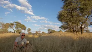 Pštrosy - život v behu