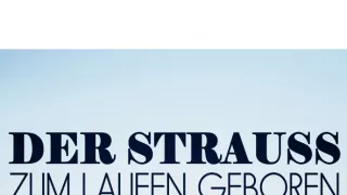 Pštrosy - život v behu