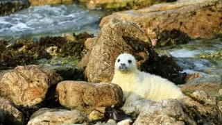 Wales - země se znamením draka