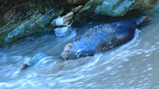 Wales - země se znamením draka