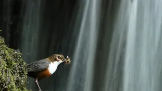 Wales - země se znamením draka