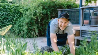 Ferdinandove záhrady III (2/8)