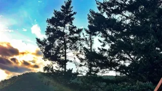 Ikony Kamila Střihavky (5/10)