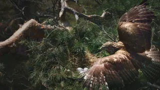 Nádherná příroda Dánska