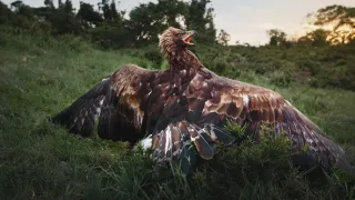 Nádherná příroda Dánska