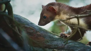 Nádherná příroda Dánska