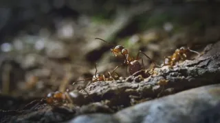 Nádherná příroda Dánska