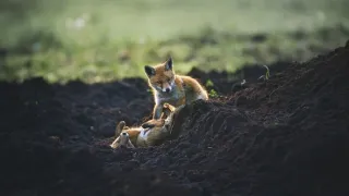 Nádherná příroda Dánska