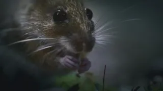 Nádherná příroda Dánska