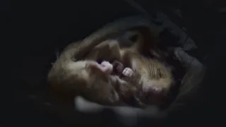 Nádherná příroda Dánska