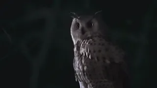 Nádherná příroda Dánska