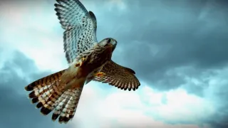 Nádherná příroda Dánska