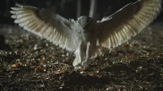 Nádherná příroda Dánska