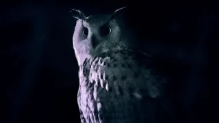 Nádherná příroda Dánska