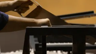 Emoce v umění (1/24)