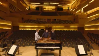 Emoce v umění (1/24)