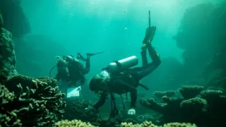 Antropocén: Na scénu vstupuje človek (3)