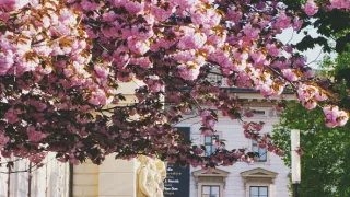 Nejbližší krajina