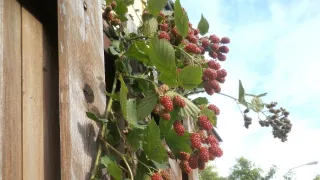 Nejbližší krajina