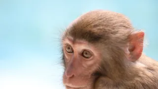 Klenoty čínské přírody (3/3)