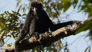 Klenoty čínské přírody (3/3)