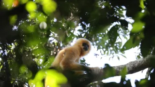 Klenoty čínské přírody (3/3)